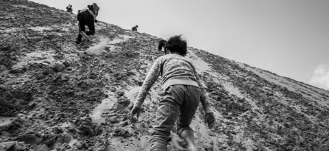 写真作家コース